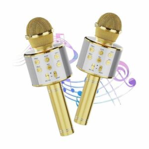 Microphone Karaoké et Haut Parleur Sans Fil Rechargeable KTV WS-858 - Gold