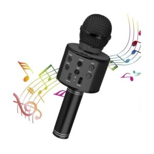 Microphone Karaoké et Haut Parleur Sans Fil Rechargeable KTV WS-858 - Noir