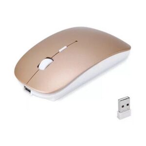 Souris Sans Fil et Rechargeable