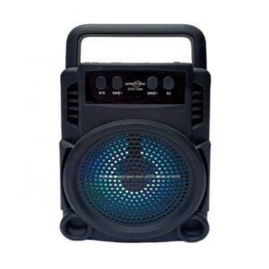 Haut Parleur Sans Fil GTS-1360